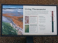 Yellowstone Norris Geyser (105).JPG